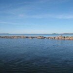 Bra start för röjning av fågelskären