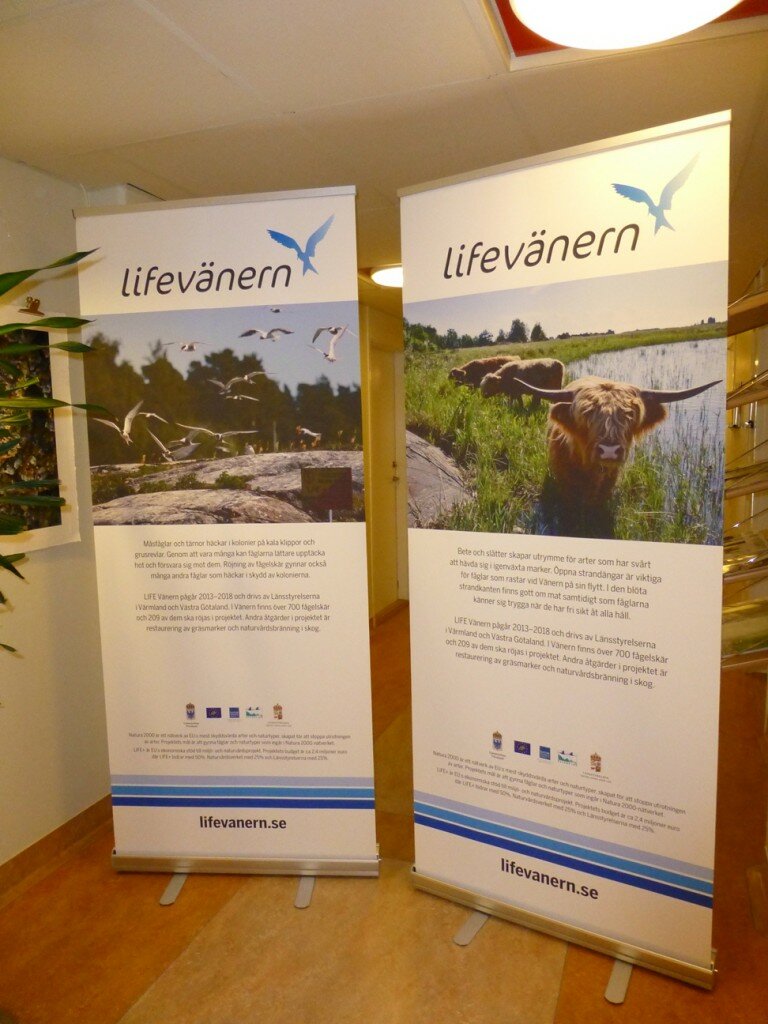 Roll-ups för infoinsatser