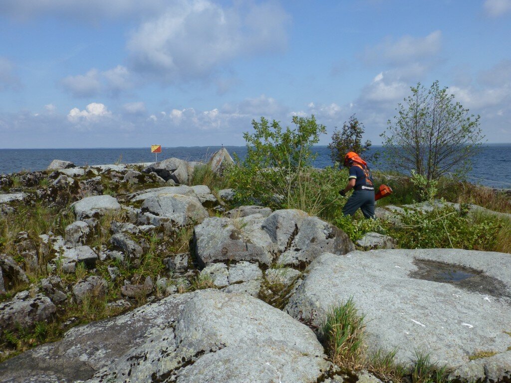 Röjning på Lakholmsskären