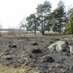 Restaurering av slåtterängar vid Nötön-Åråsviken