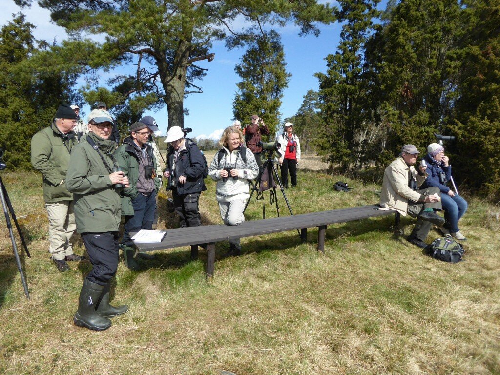 Deltagare på Kilsvikens dag