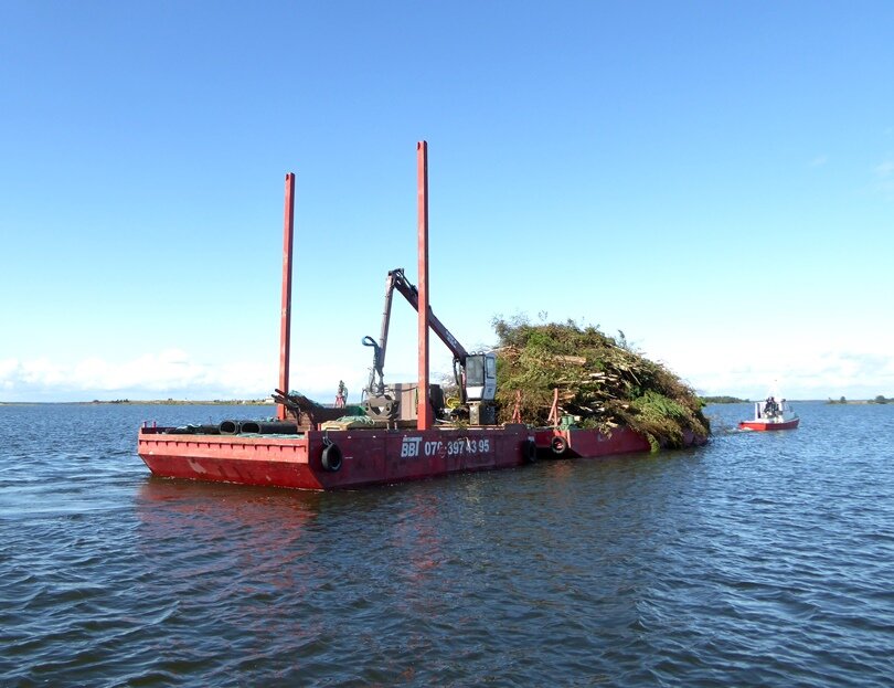 Det avverkade materialet transporteras till fastlandet med hjälp av pråmar. Det avverkade materialet transporteras till fastlandet med hjälp av pråmar.