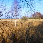 Strandäng Klarälvsdeltat Nolgårdsviken